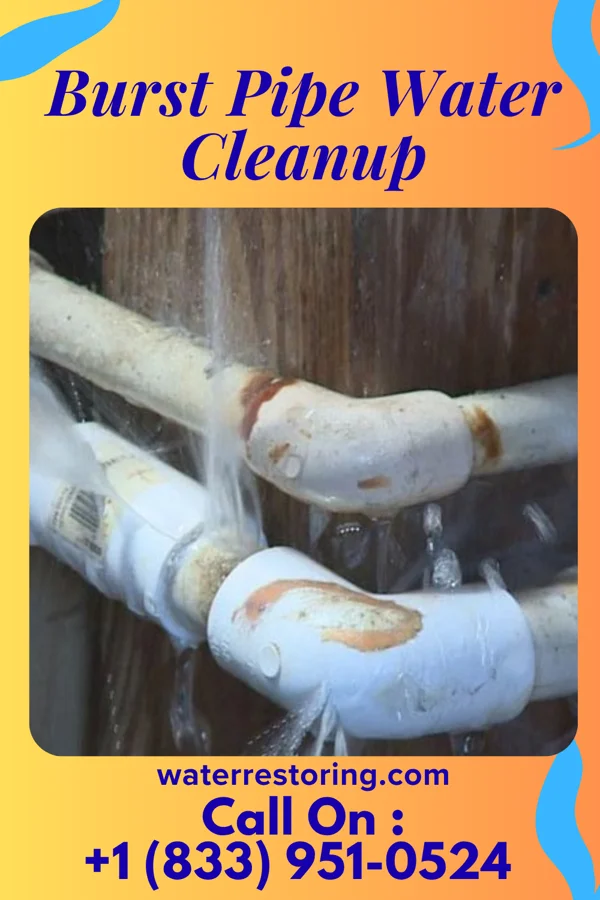 Burst Pipe Water Cleanup in Bingham, IL