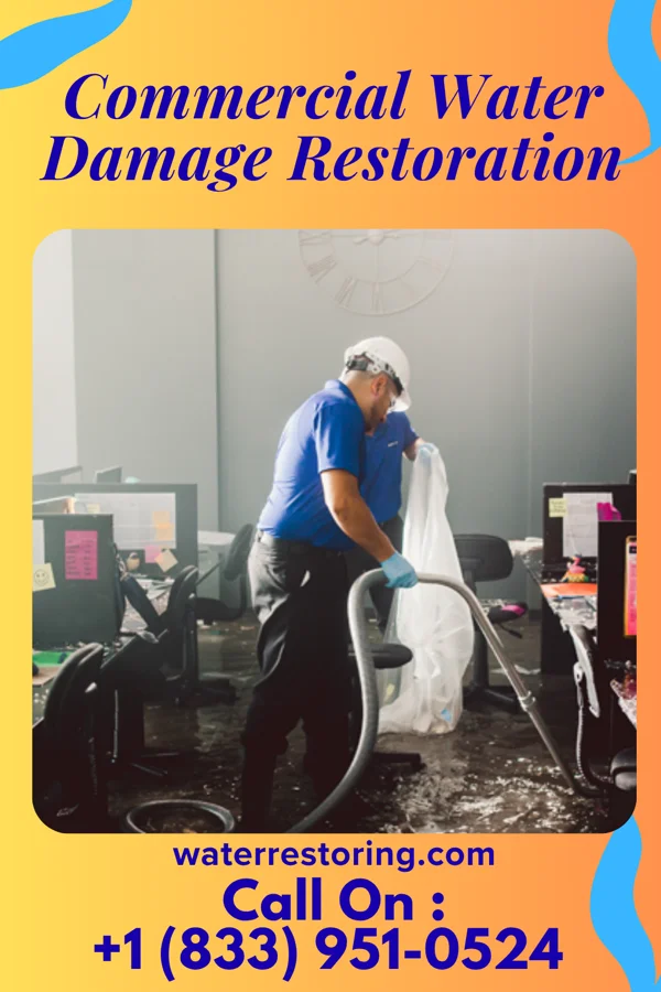 Commercial Water Damage Restoration in Bingham, IL